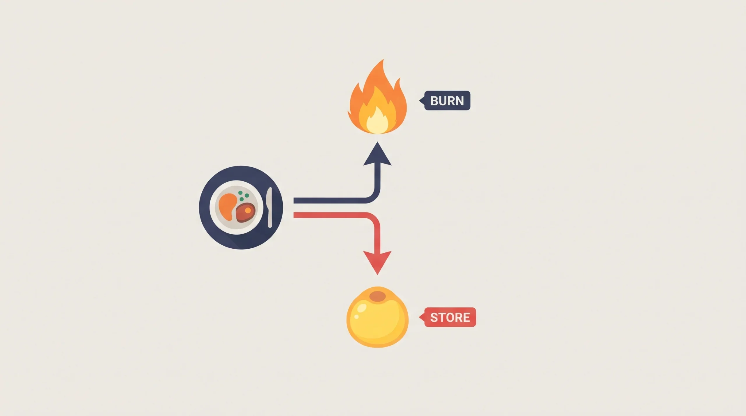 Burn vs Store diagram
